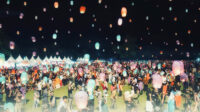 festival lampion lamandau