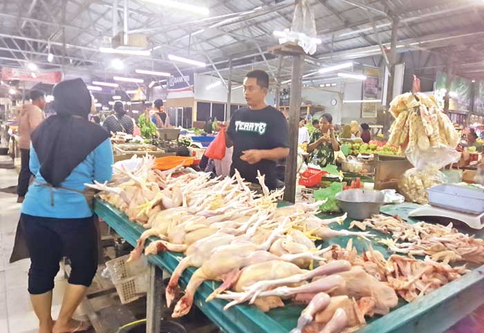 penjual ayam
