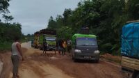jalan rusak lamandau