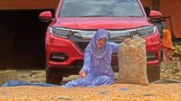 kampung miliarder