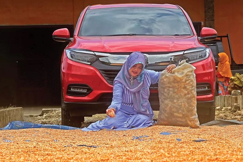 kampung miliarder