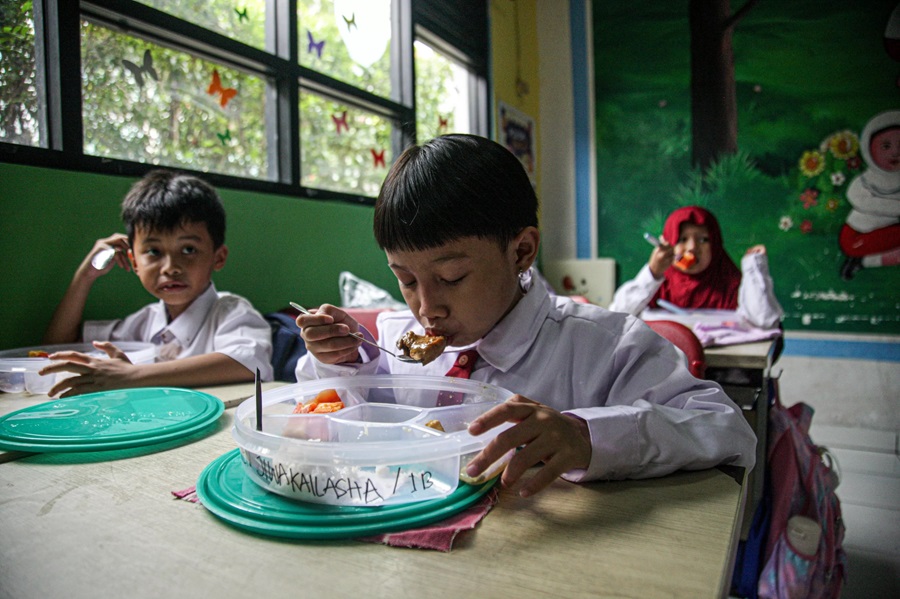 makan bergizi gratis