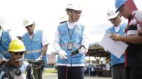 pln apel 1