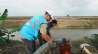 pln listrik pertanian