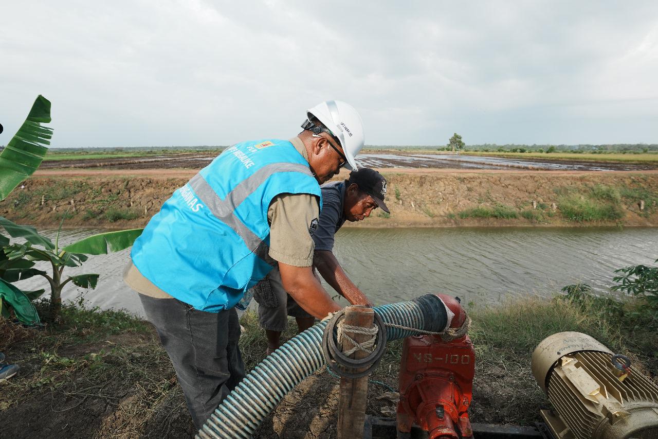 pln listrik pertanian