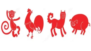 ramalan shio monyet ayam jantan anjing dan babi