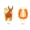 ramalan zodiak hari ini aries taurus gemini dan cancer