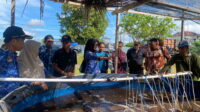 sumur pandanwangi 1
