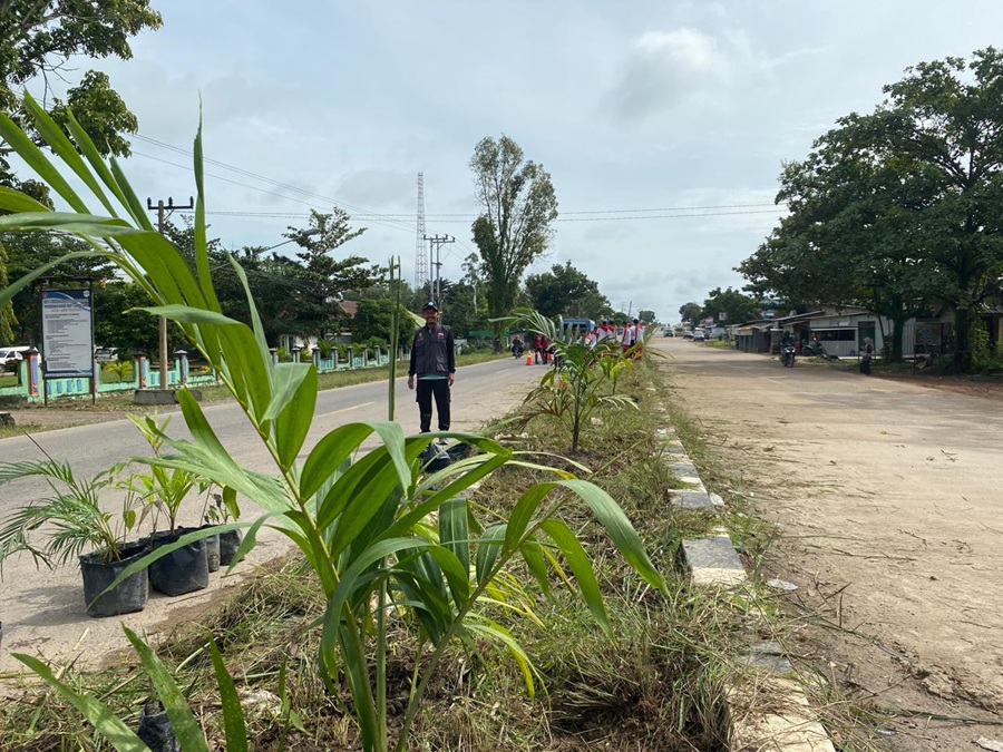 penghijauan 1