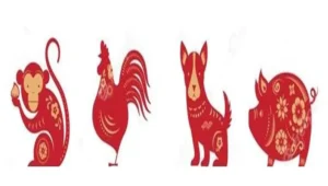 ramalan shio monyet, ayam jantan, anjing, dan babi