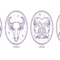 zodiak aries dan taurus