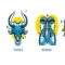 zodiak aries taurus gemini dan cancer
