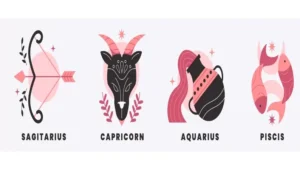zodiak sagitarius capricorn