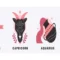 zodiak sagitarius capricorn