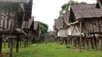 lumbung padi lamandau