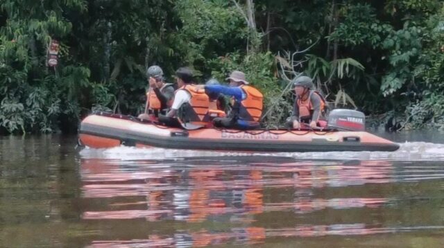 buaya