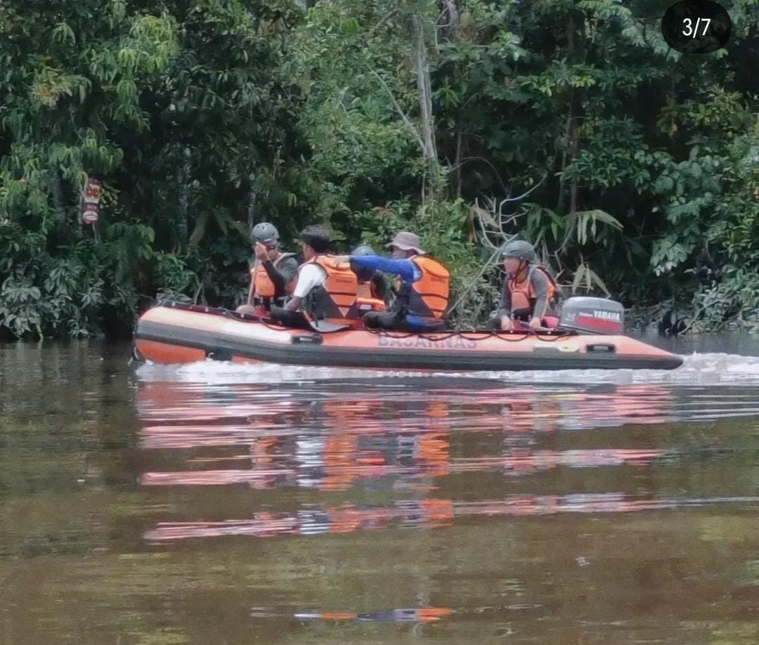 buaya
