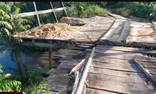 Jembatan Natai kerbau
