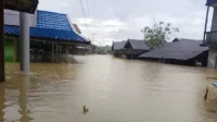 banjir di kalteng