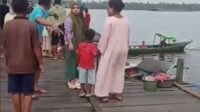 diterkam buaya sungai mentaya