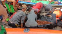 jasad sani korban buaya