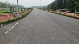jembatan kotawaringin lama