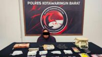 pengedar sabu