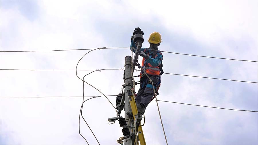 pln 2
