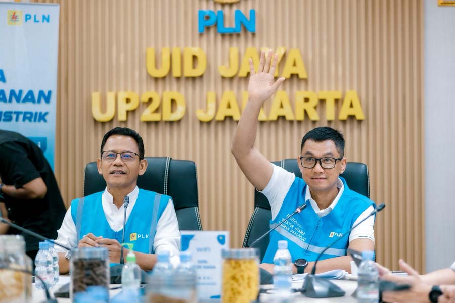 pln 3