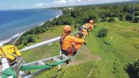 pln