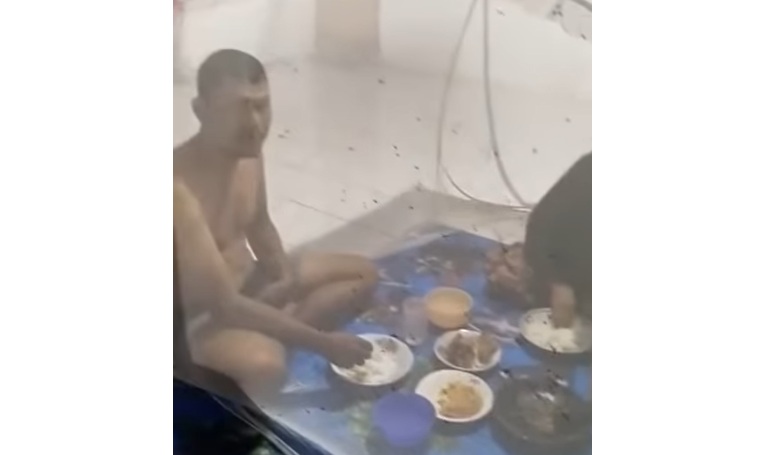 wabah lalat sukamara kalteng