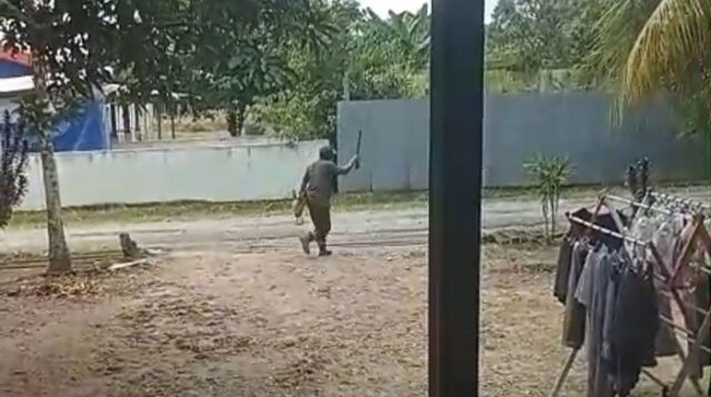 gila