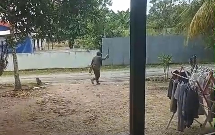 gila