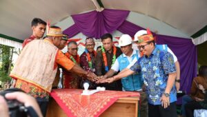 pln lamandau