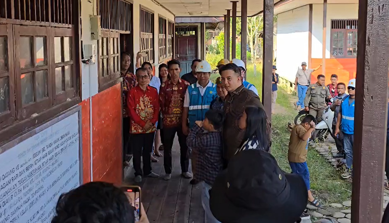 pln lamandau