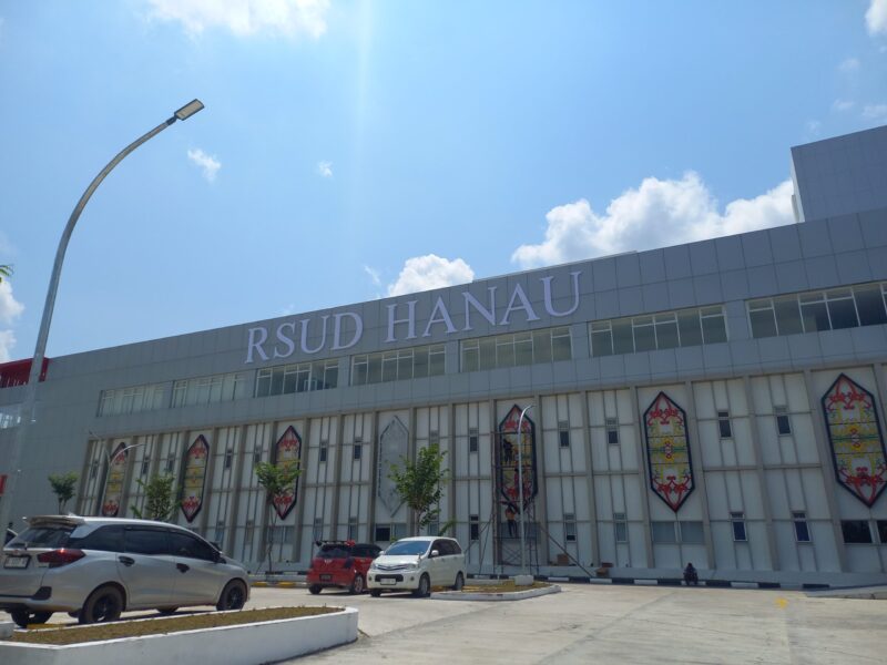 rsud hanau 1