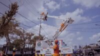 Pln
