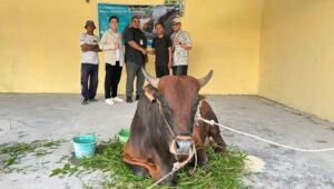 cbut sungai tendang