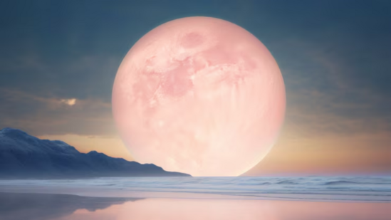 ILUSTRASI BULAN STRAWBERRY ilustrasi bulan strawberry
