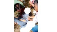 mayat perempuan di kebun sawit