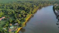 sungai lamandau