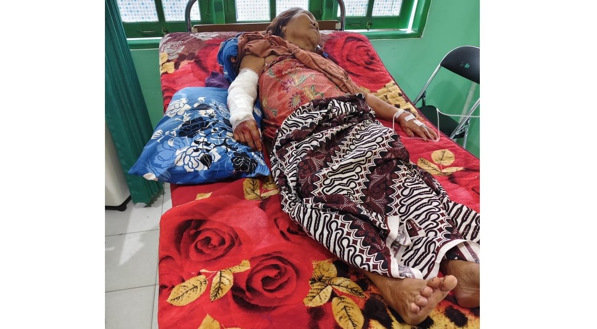 nenek disambar buaya