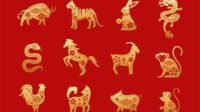 chinese zodiac animals. twelve asian new year golden characters set isolated on red background. vector illustration of astrology calendar horoscope symbols