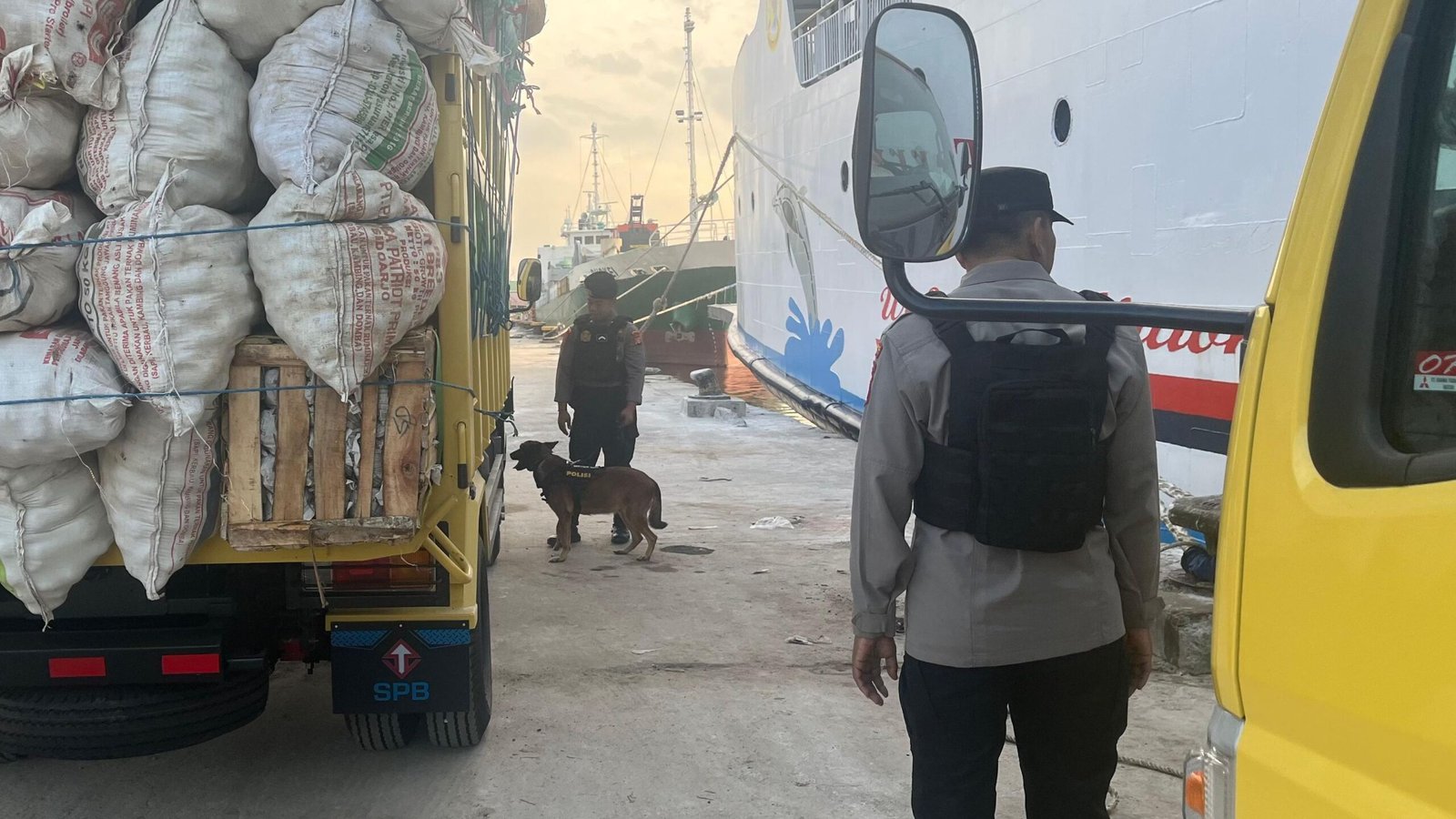 anjing di pelabuhan sampit