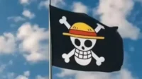 bendera one piece