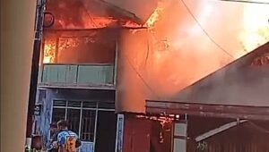 kebakaran bantaran sungai lamandau