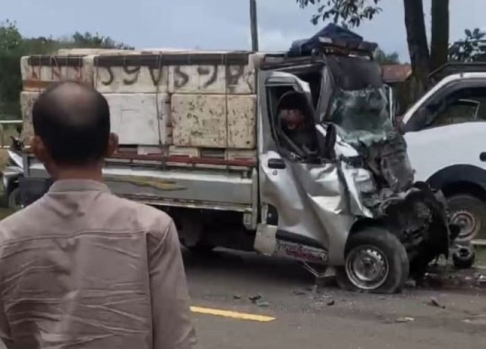 kecelakaan adu banteng