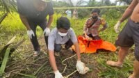 tulang belulang, tengkorak manusia