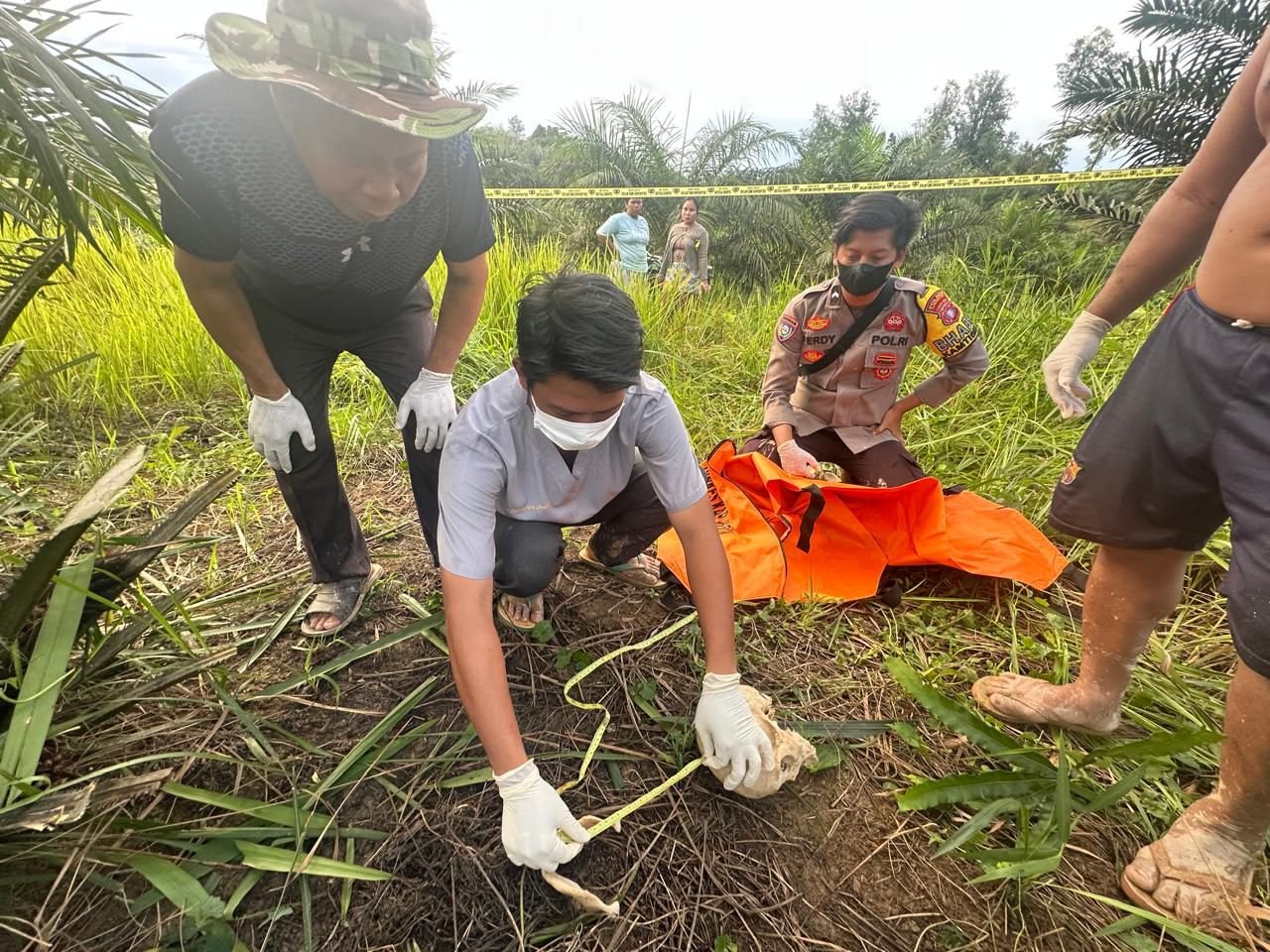tulang belulang, tengkorak manusia