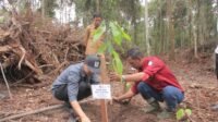 Perhutanan Sosial Kalimantan Tengah,BGA Group,Hutan Kemasyarakatan (HKm) Raja Seberang,Rehabilitasi hutan dan lahan